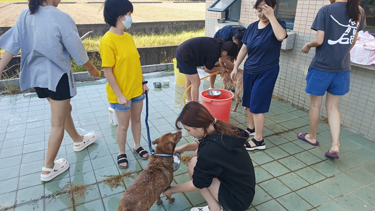 照片說明